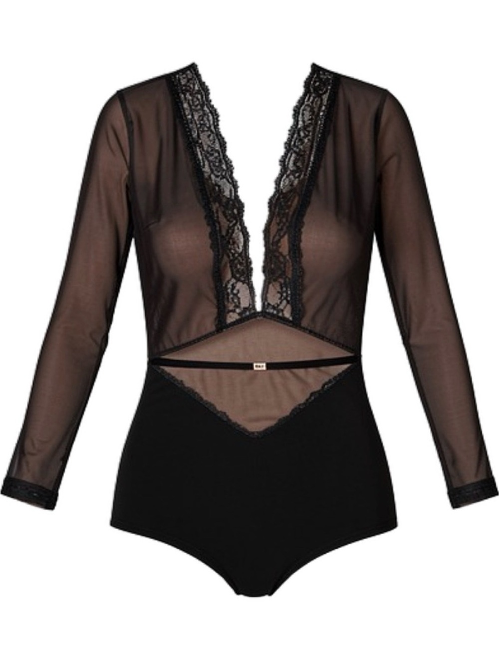 Sheer Black Lace Plunge Bodysuit with Long Sleeves